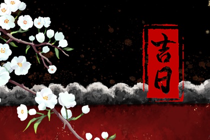 紫薇排盘算命免费_流年命盘排盘_天纪紫微斗数排盘